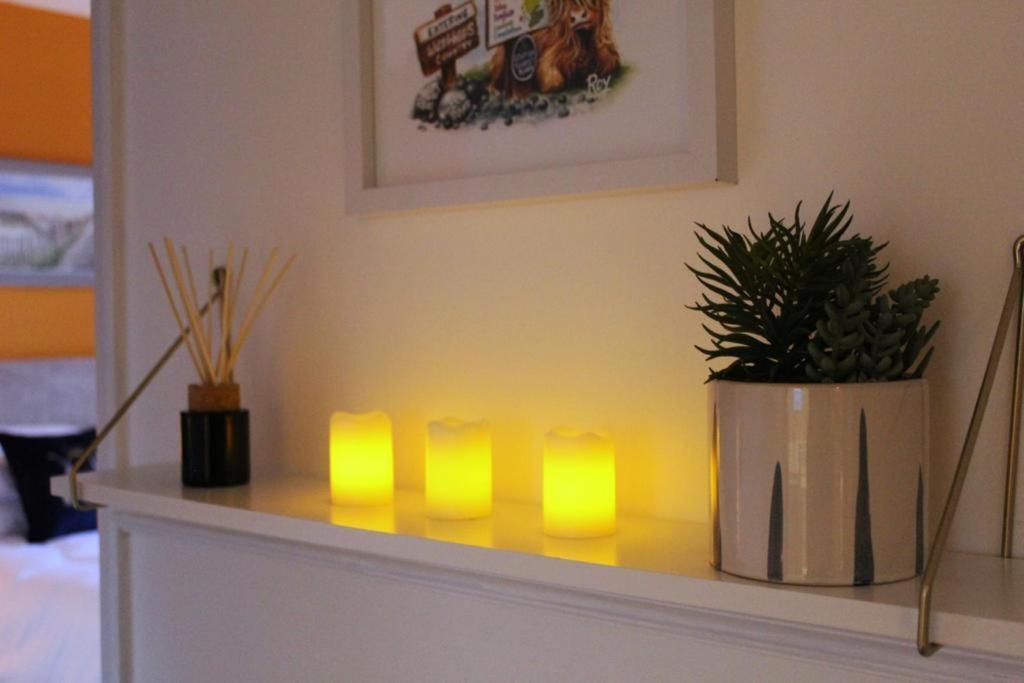 Cheery Craigie Ground Floor Apartment Perth Dış mekan fotoğraf